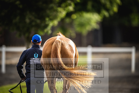 Goffs Land Rover Sale 2022-503