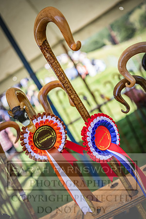 Rydal Hound Show 2022-121