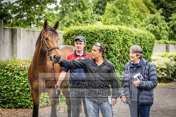 Goffs Land Rover Sale 2022-470