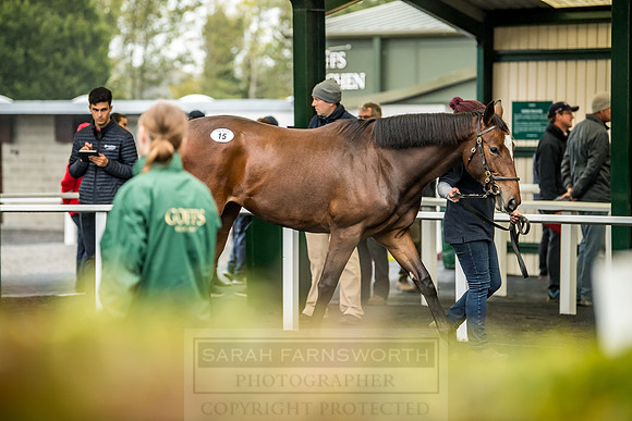Goffs Orby 2018 Day 1-167
