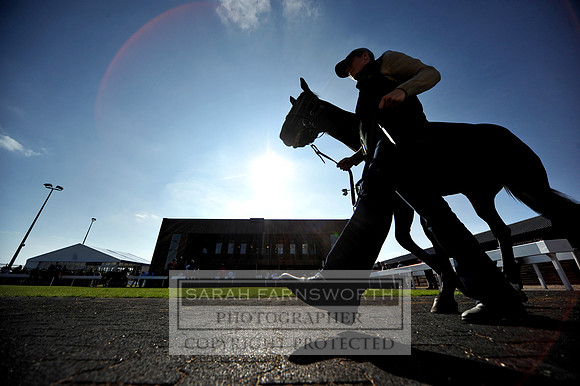 DBS 010911 102