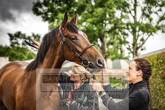 Goffs Land Rover Sale 2022-529