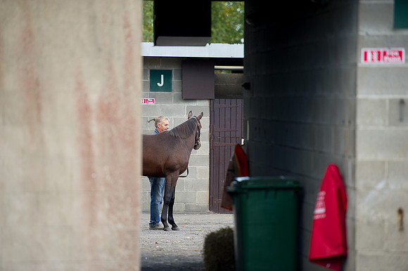 Goffs Orby14 CF11 054