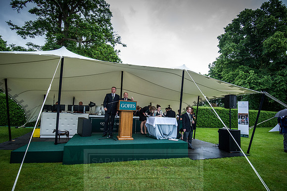 Goffs London Sale 2016-400