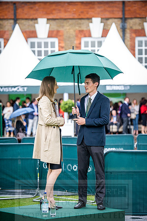 Goffs London Sale 2016-239