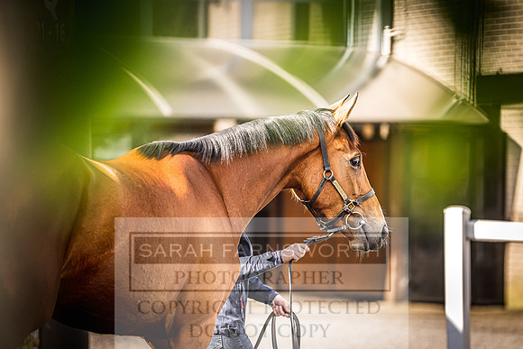 Goffs Land Rover Sale 2022-128