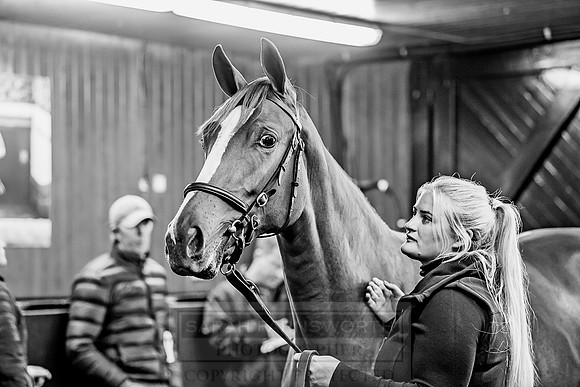 Goffs Orby 2018 Day 1-396