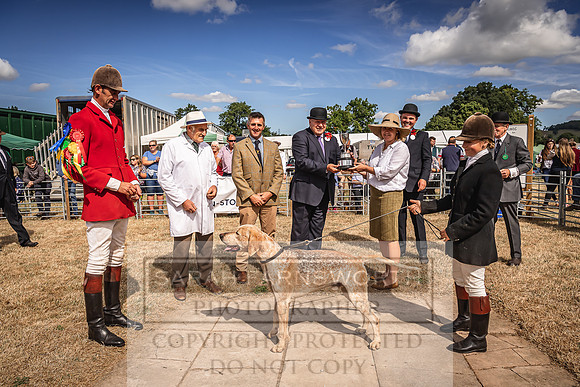 Honiton Hound Show 2022-75