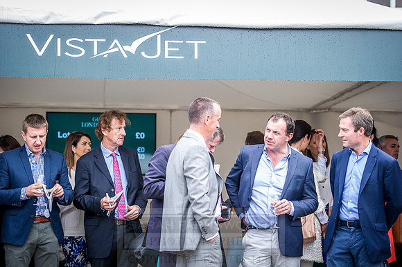 Goffs London Sale 2016-264