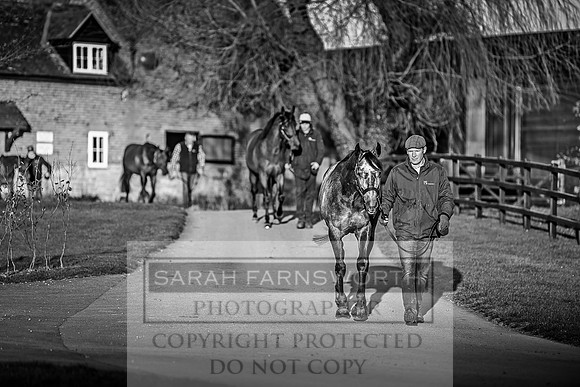 Tweenhills January 2019-103