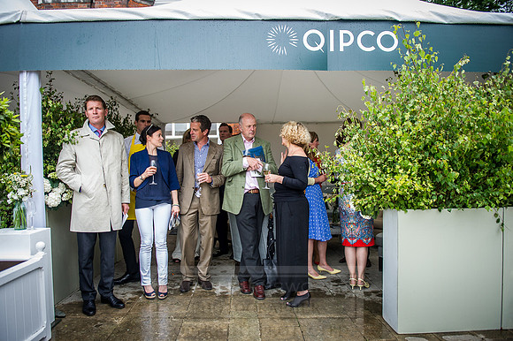 Goffs London Sale 2016-267
