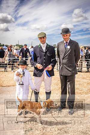 Honiton Hound Show 2022-125