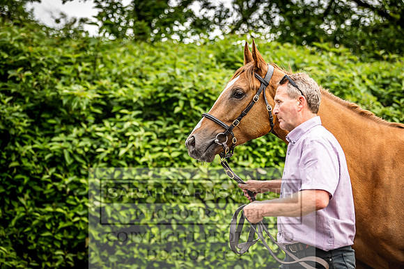 Goffs Land Rover Sale 2022-385