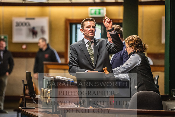 Goffs Land Rover Sale 2022-255