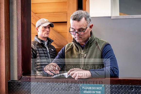 Goffs UK Spring Sale 2024-155