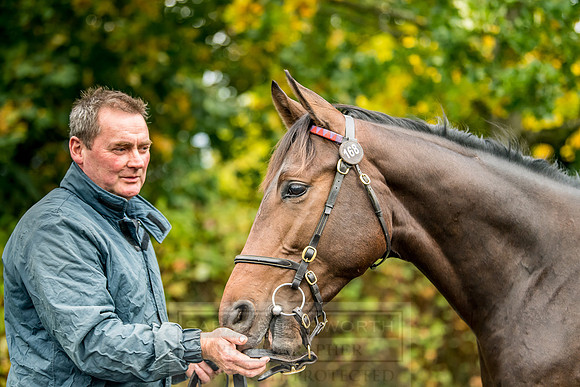 Goffs Orby 2018 Day 1-322