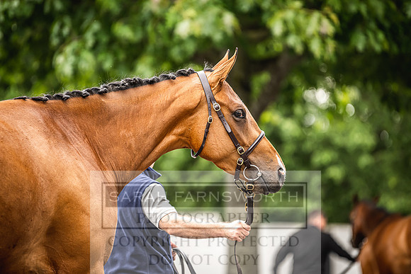 Goffs Land Rover Sale 2022-332