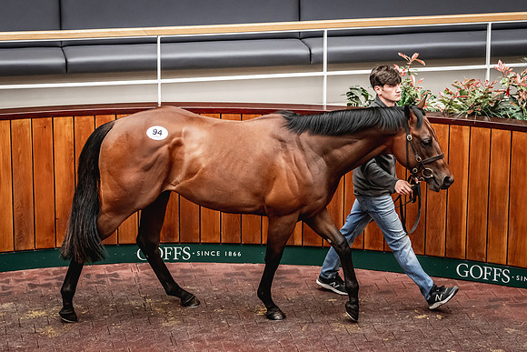 Goffs UK Breeze Up 2022-259