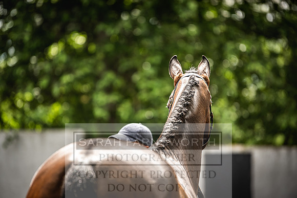 Goffs Land Rover Sale 2022-368