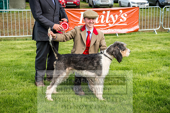 Lowther Hound Show 2017-109
