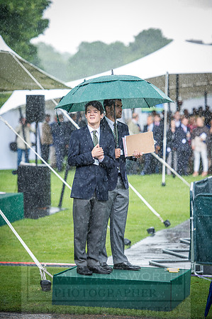 Goffs London Sale 2016-328