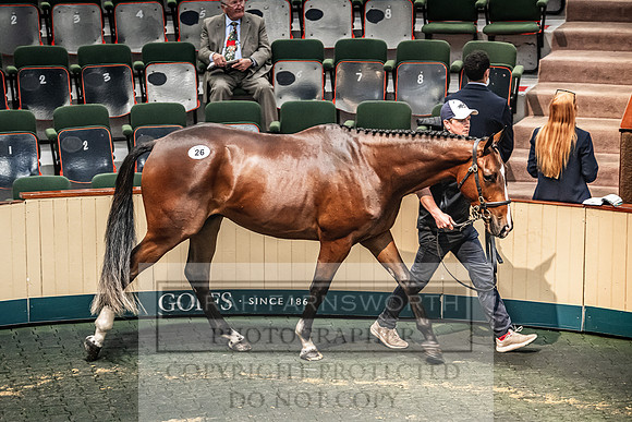 Goffs Land Rover Sale 2022-206