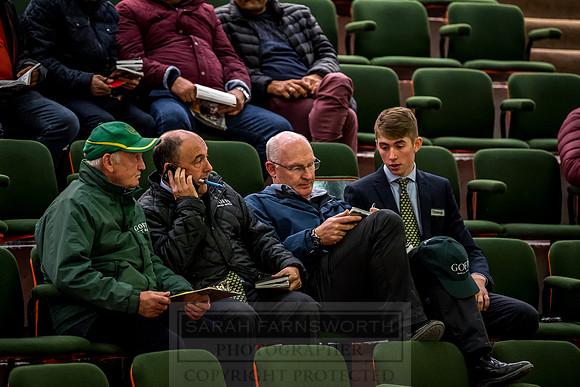 Goffs Orby 2018 Day 1-441