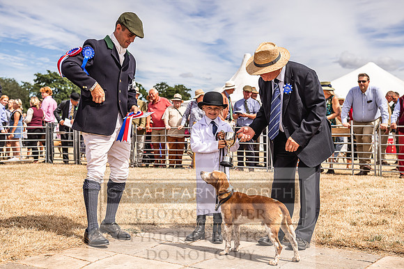 Honiton Hound Show 2022-132