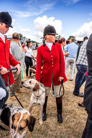 Honiton Hound Show 2022-6