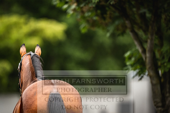 Goffs Land Rover Sale 2022-483