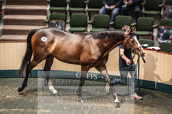 Goffs Land Rover Sale 2022-266
