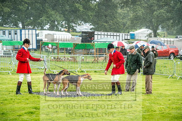 Lowther Hound Show 2017-19