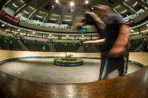 Goffs Orby 2015 -535