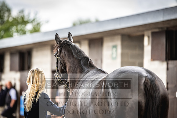Goffs Land Rover Sale 2022-383