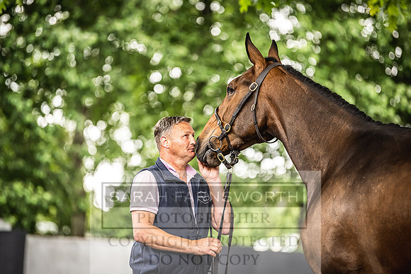 Goffs Land Rover Sale 2022-346