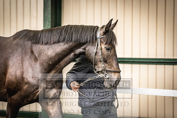 Goffs Land Rover Sale 2022-417