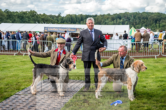 Lowther Hound Show 2017-110