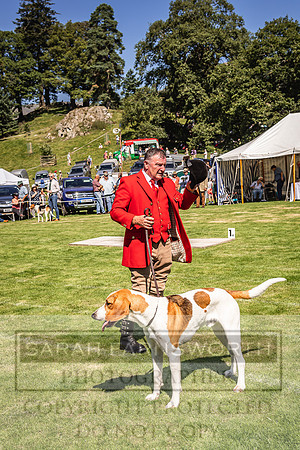 Rydal Hound Show 2022-86