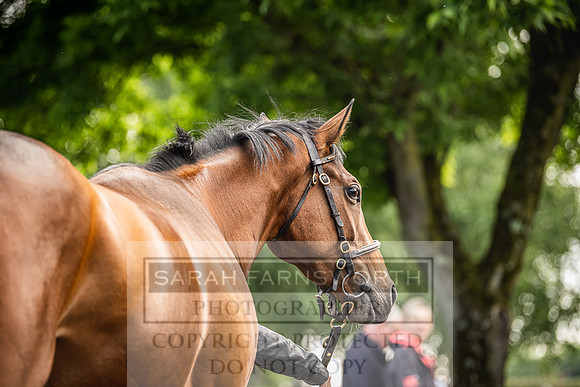 Goffs Land Rover Sale 2022-28