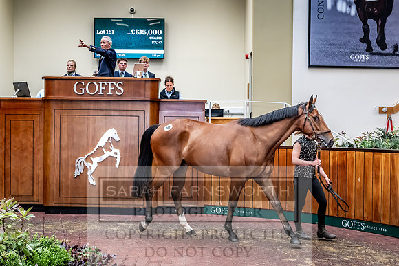 Goffs UK Spring Sale 2024-159
