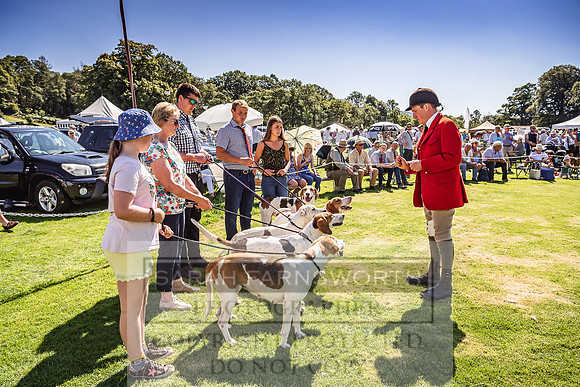 Rydal Hound Show 2022-41