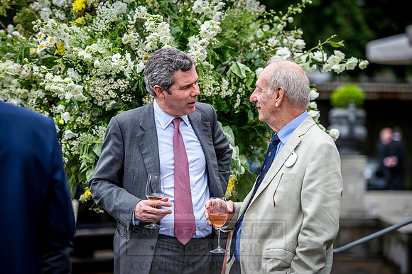 Goffs London Sale 2016-163