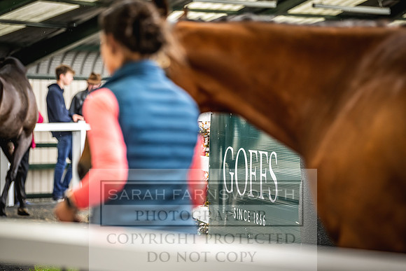 Goffs Land Rover Sale 2022-409
