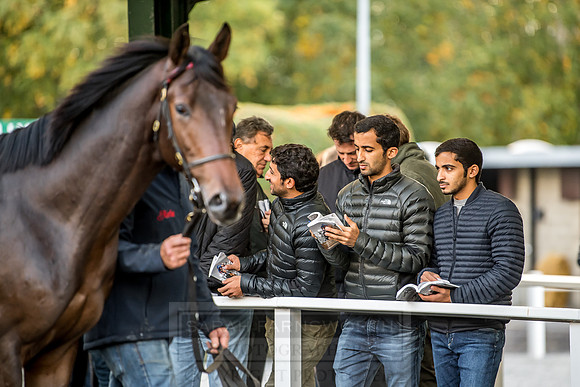 Goffs Orby 2018 Day 1-382