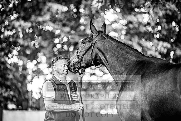 Goffs Land Rover Sale 2022-344
