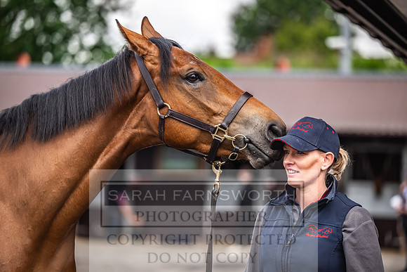 Goffs UK Spring Sale 2024-75