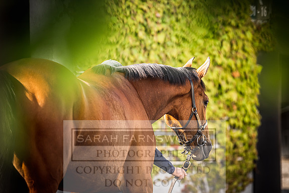 Goffs Land Rover Sale 2022-127