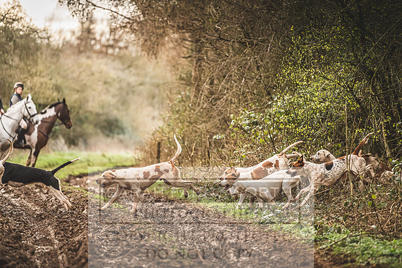 Thurlow at Heythrop 130319-637