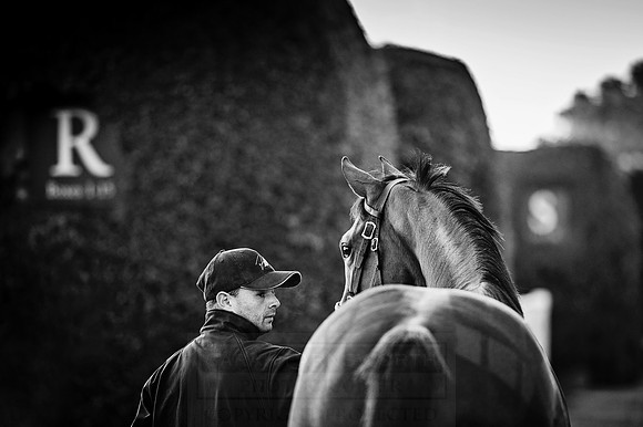 Goffs Orby 2015 -122 bw