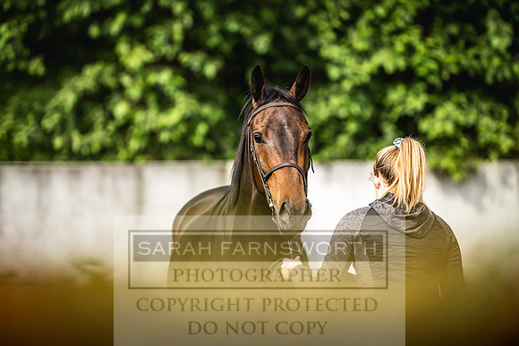 Goffs Land Rover Sale 2022-154